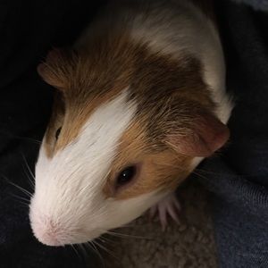 Meet your Posher, Sally